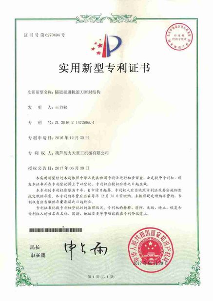 China Litian Heavy Industry Machinery Co., Ltd. certificaten