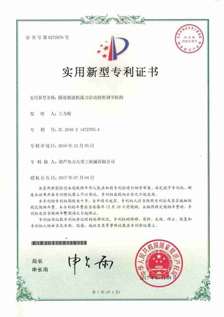 China Litian Heavy Industry Machinery Co., Ltd. certificaten